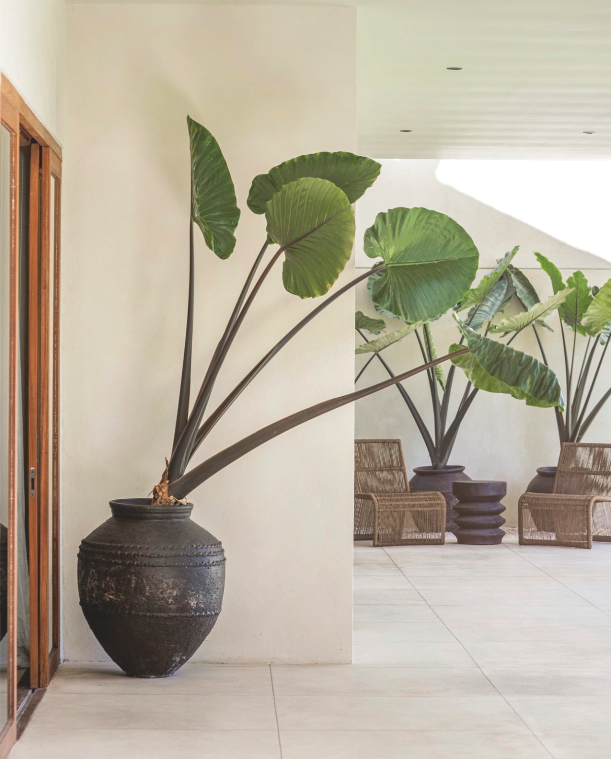 De exotische planten die hier van nature groeien, doen het ook goed in potten binnen. Zo brengt de natuur ook in huis kleur. vtwonen Landelijk 8-2025 | fotografie Sheila Man | tekstbewerking Marie Masureel