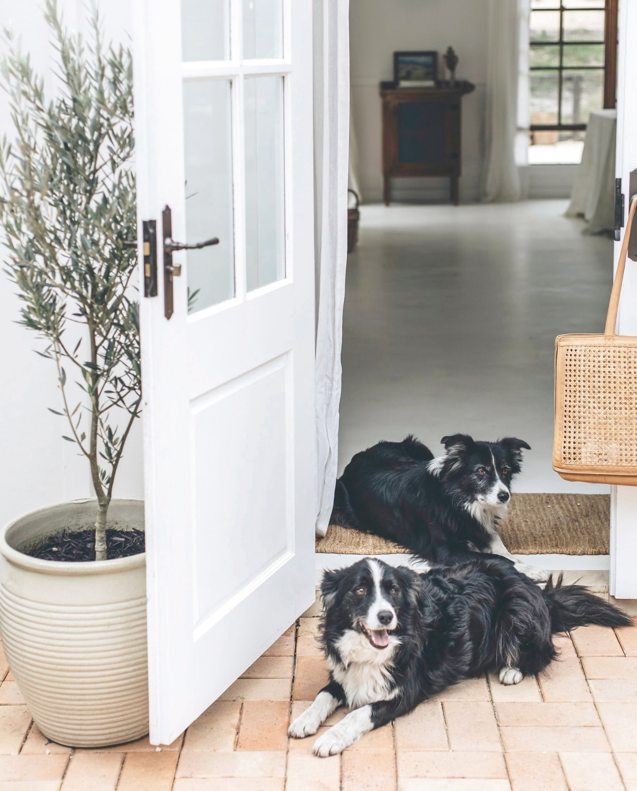 Soortgelijk:  plantenpot Intratuin, terrastegels Tegelfabriek vtwonen landelijk 10-2025 | fotografie Abbie Melle