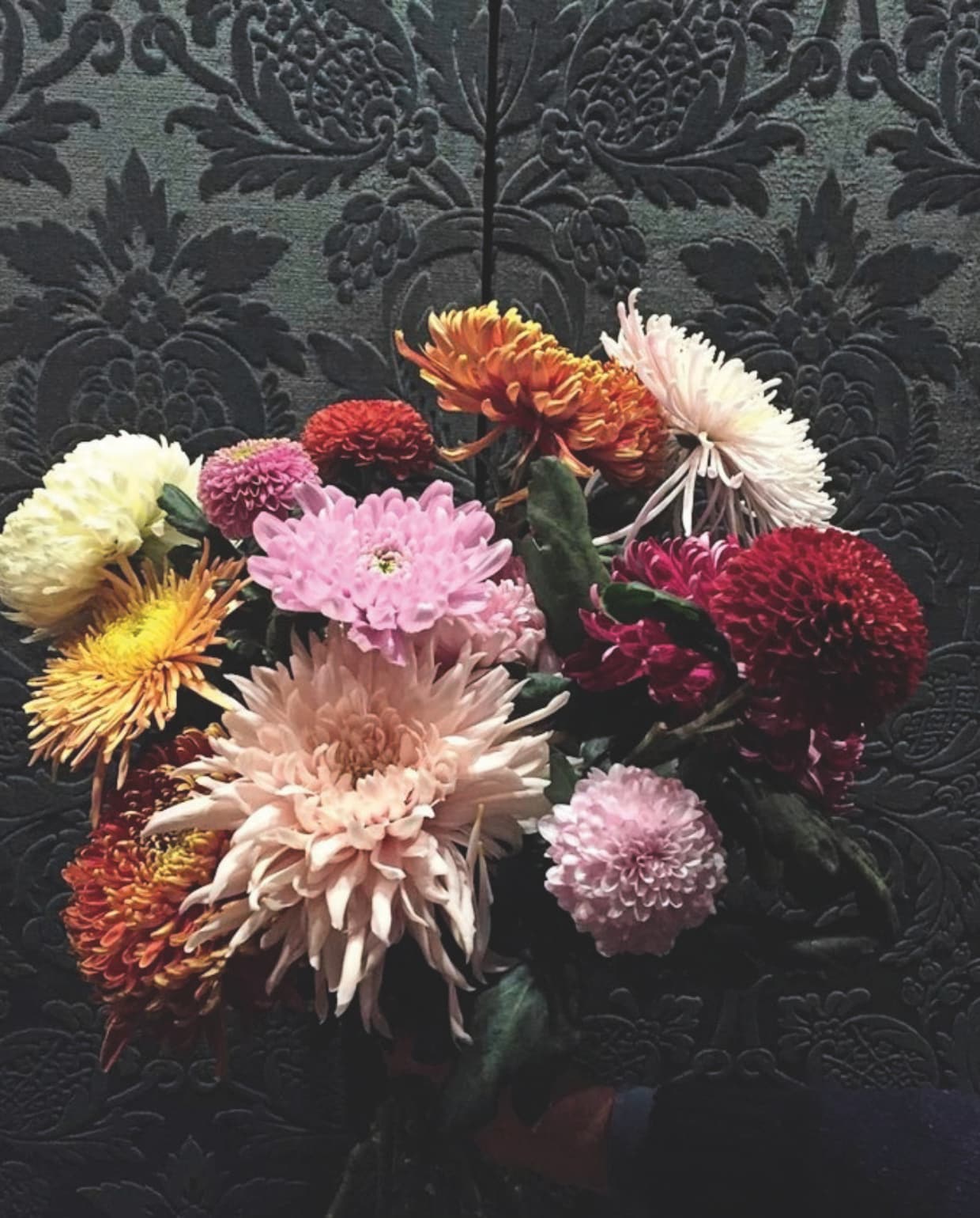 Chrysanten, prijs op aanvraag (costersveld.be) costersveld.be