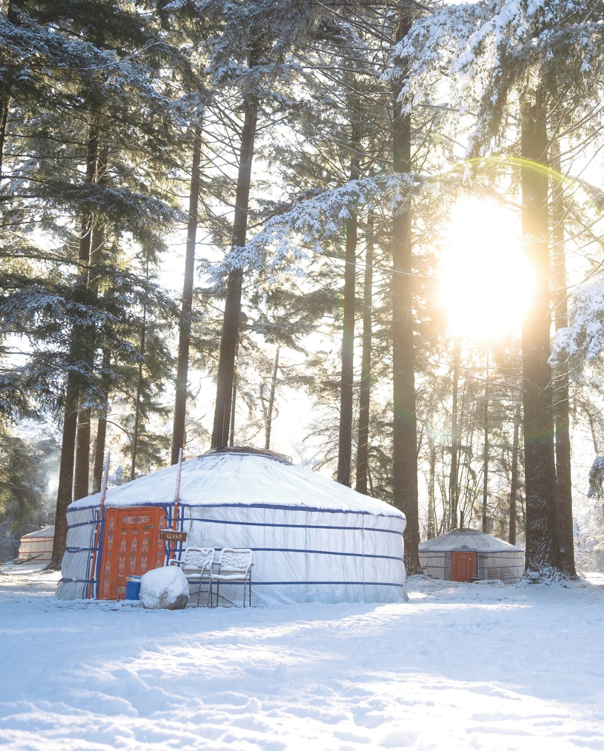• winterwoods.nl vtwonen kerst NOW 10-2025 | fotografie Evy van Nispen | productie en tekst Roos Stalpers & Fee van 't Veen
