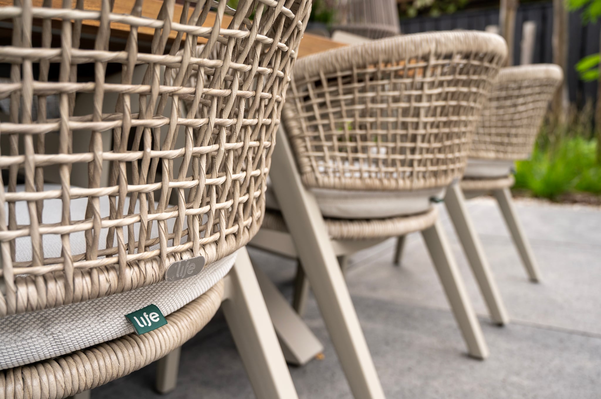 een tuin vol tegenstellingen strak ontwerp met zachte elementen